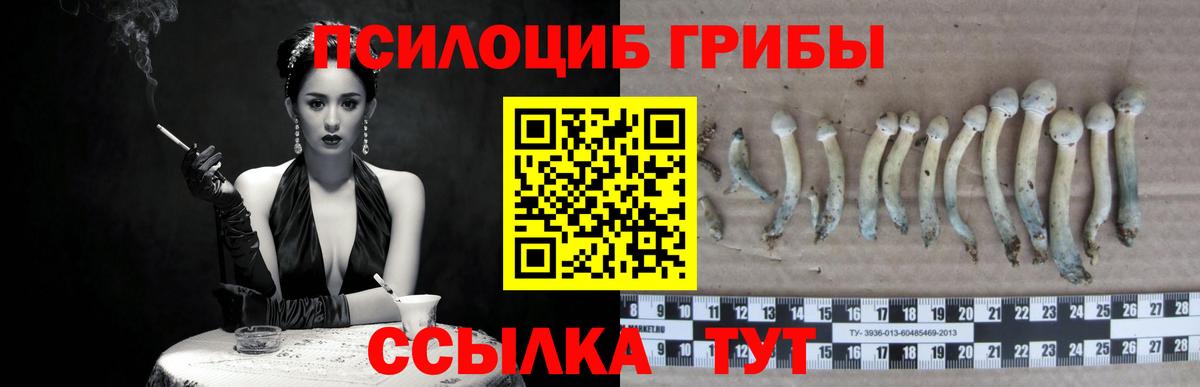 Псилоцибиновые грибы прущие грибы Партизанск